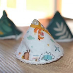 Tipi pipi